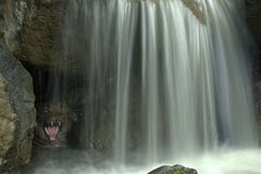 Die Wasserfalle--/  la trappola d´aqua