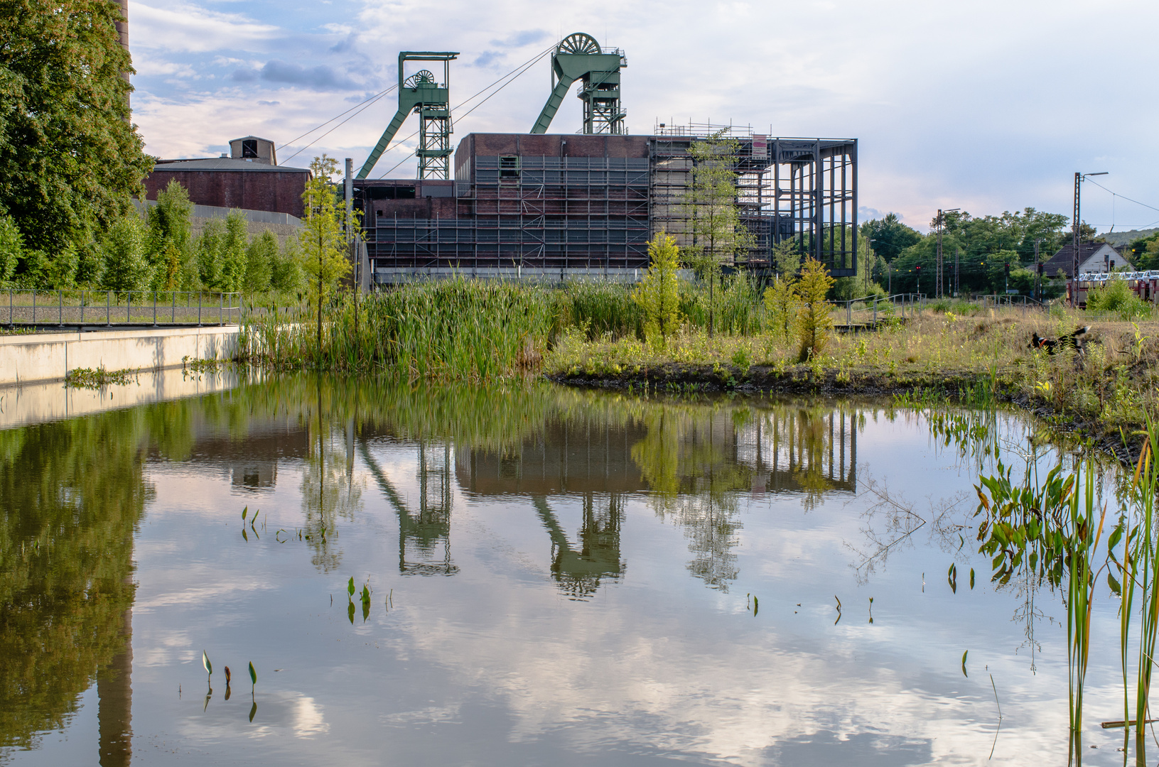 Die Wassergärten Landsweiler-Reden