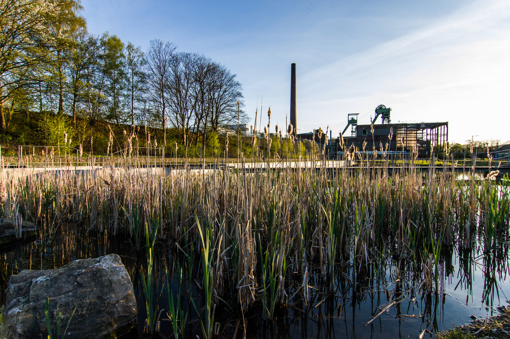 Die Wassergärten Landsweiler-Reden