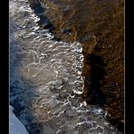 die Wasserkante am Baggersee....