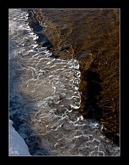 die Wasserkante am Baggersee....