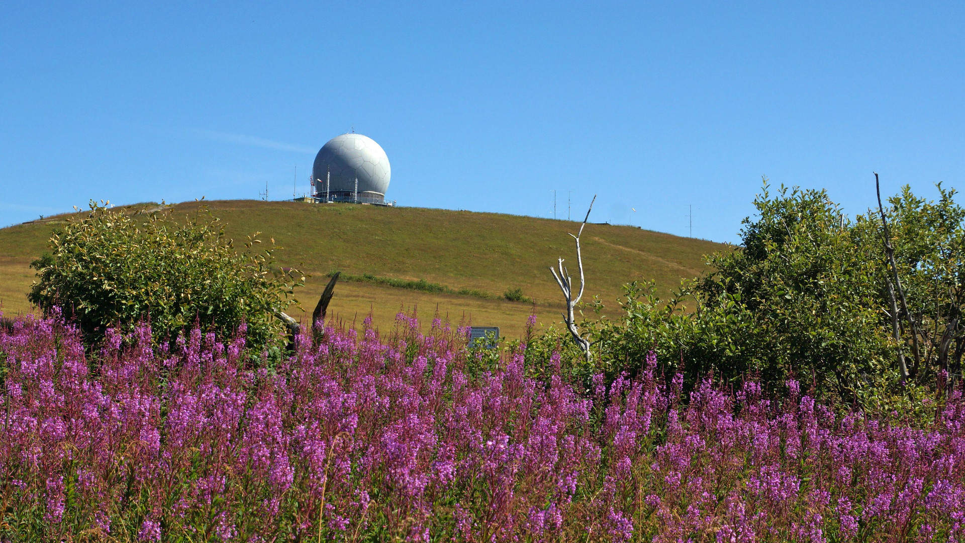 die Wasserkuppe