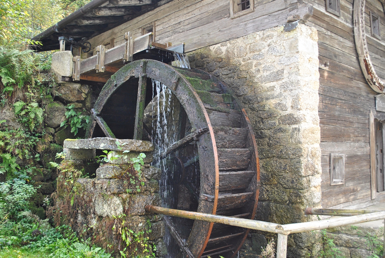 Die Wassermühle