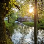 Die Wassermühle von ca.1925......