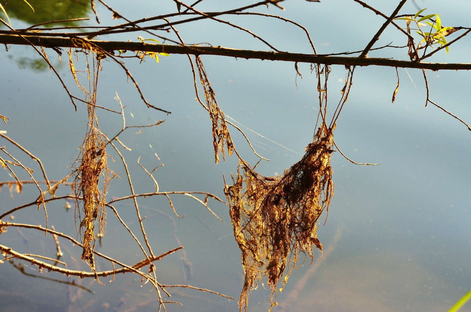 Die Wassernixen haben großen Waschtag