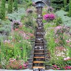 Die Wassertreppe auf der Blumeninsel Maina