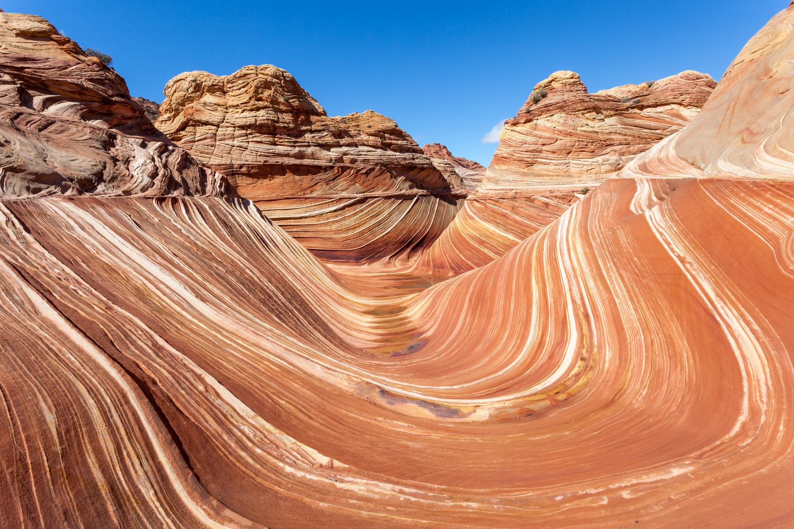 Die Wave - Arizona