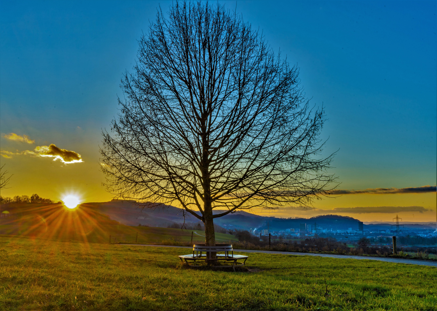 Die Wechselstube unter dem Baum   ( Die Bank) 