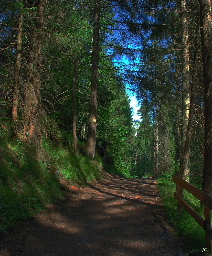 Die Wege am Crestasee # Los caminos del lago Cresta