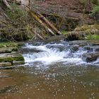 die Wege der Gauchach - Gauchachschlucht