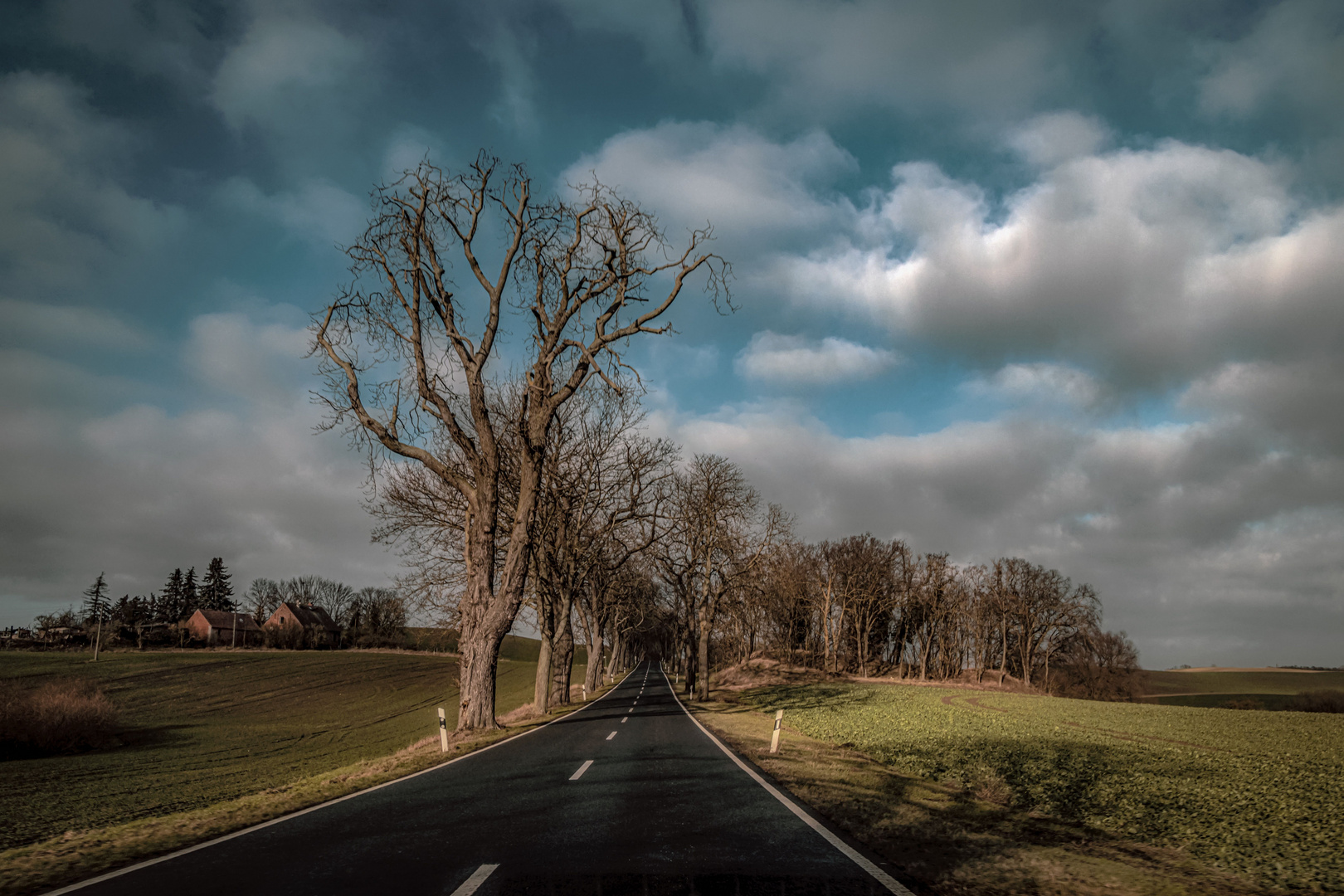 Die Wege des Fotografen sind unergründlich ...