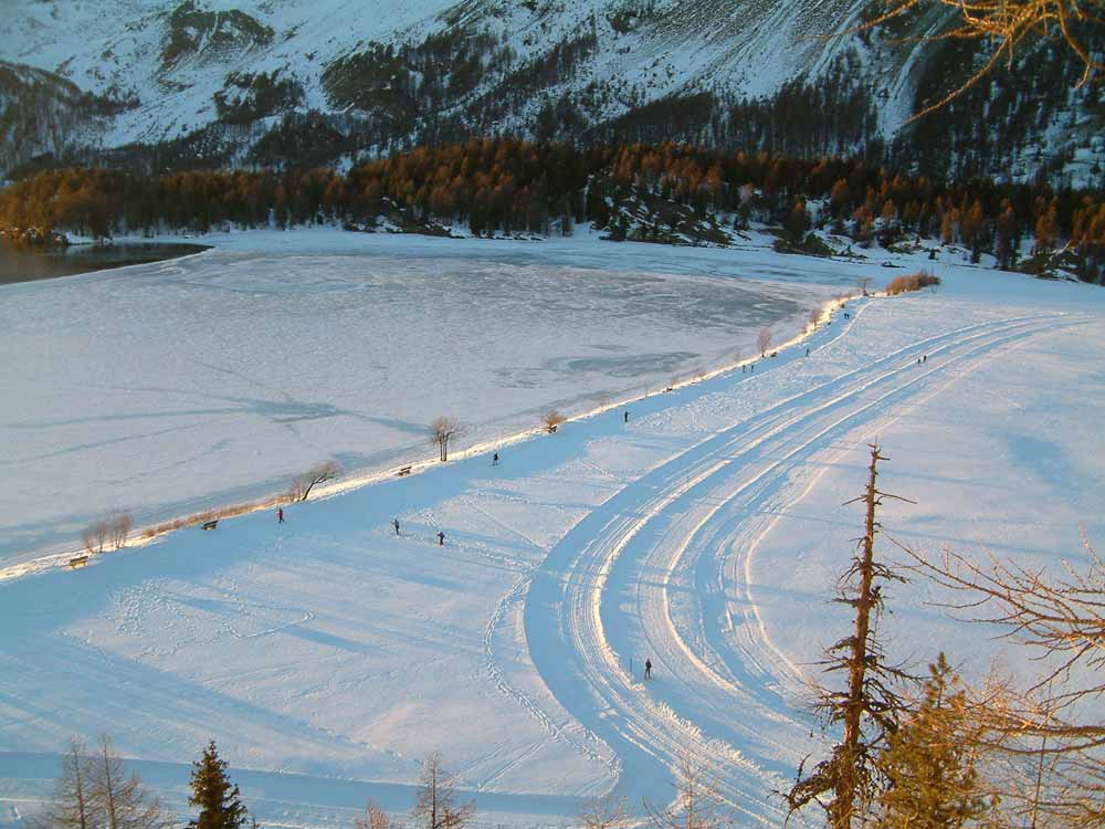 Die Wege des Winters