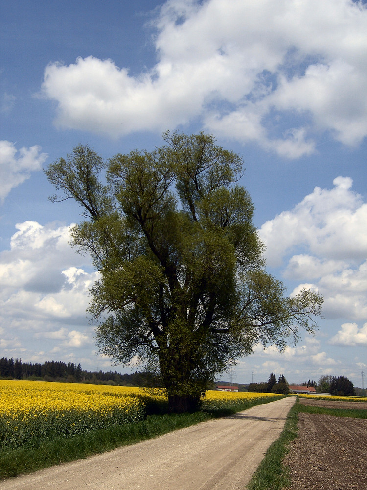 ...die Wege führen uns dahin, wo wir es wollen...