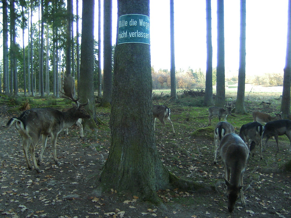 die Wege nicht verlassen (zzzz)