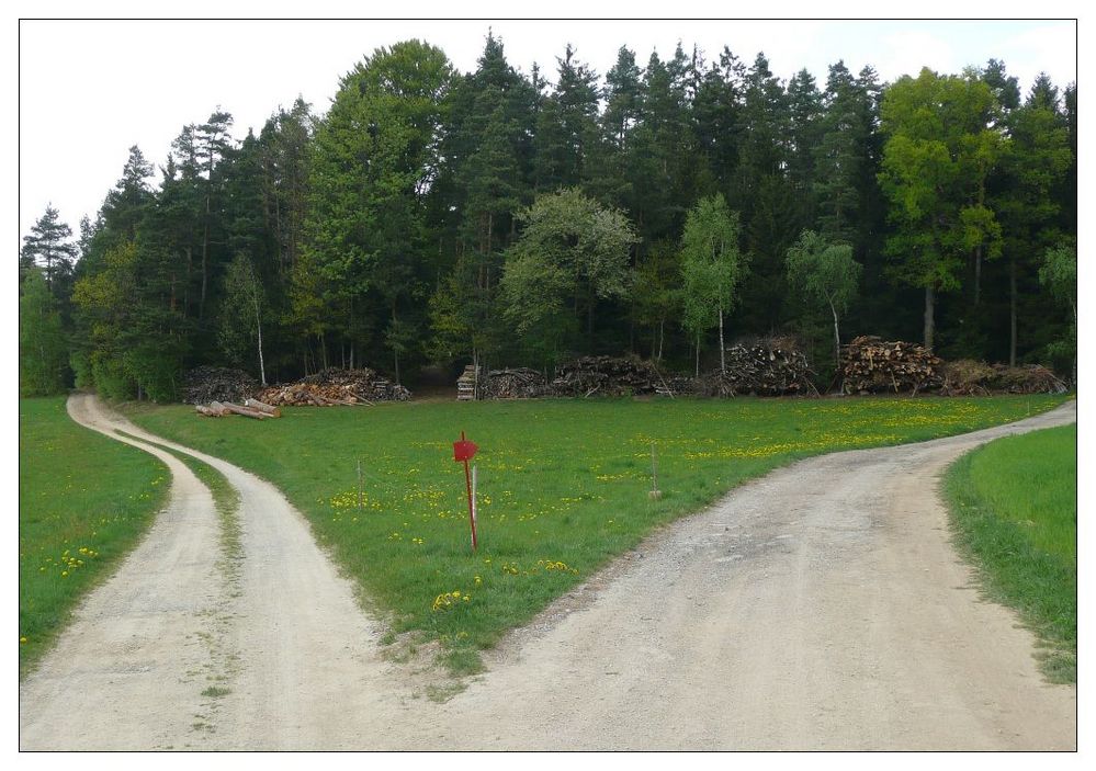 die Wege trennen sich Foto &