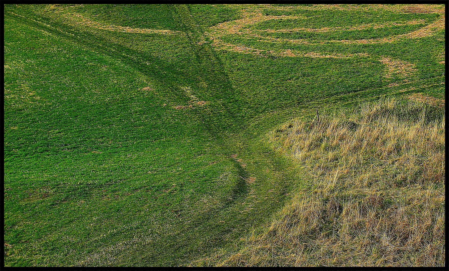 Die Wege trennen sich