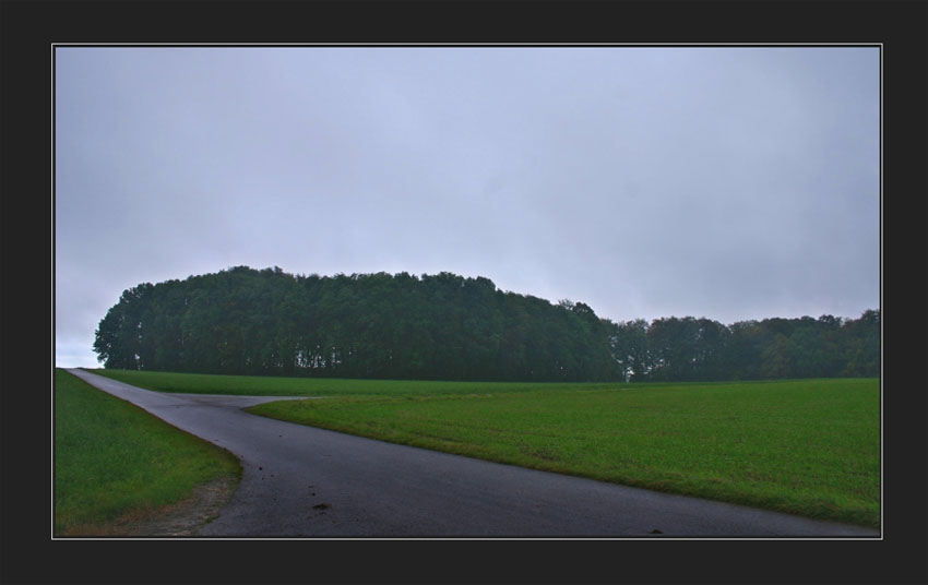 Die Wege trennen sich