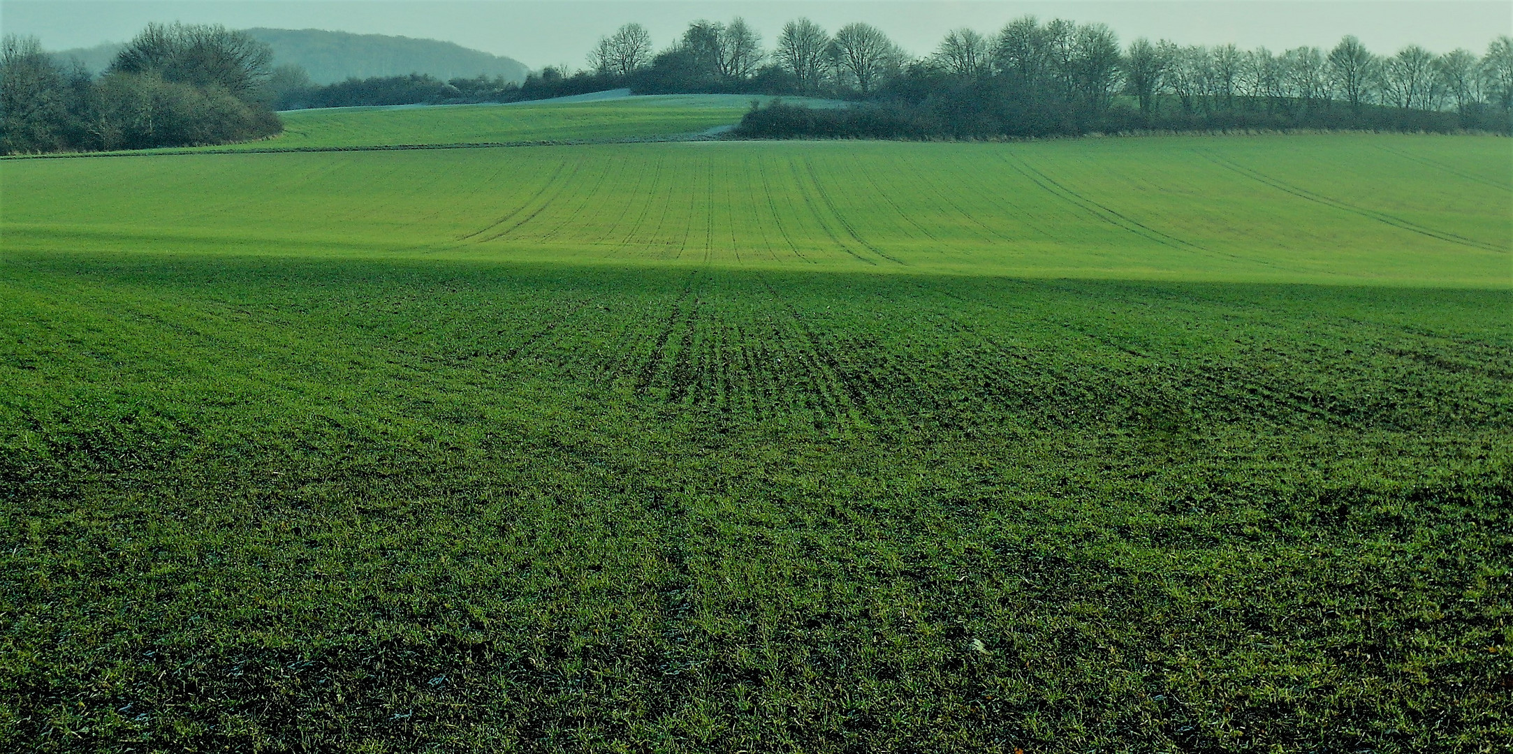 Die Wege trennen sich