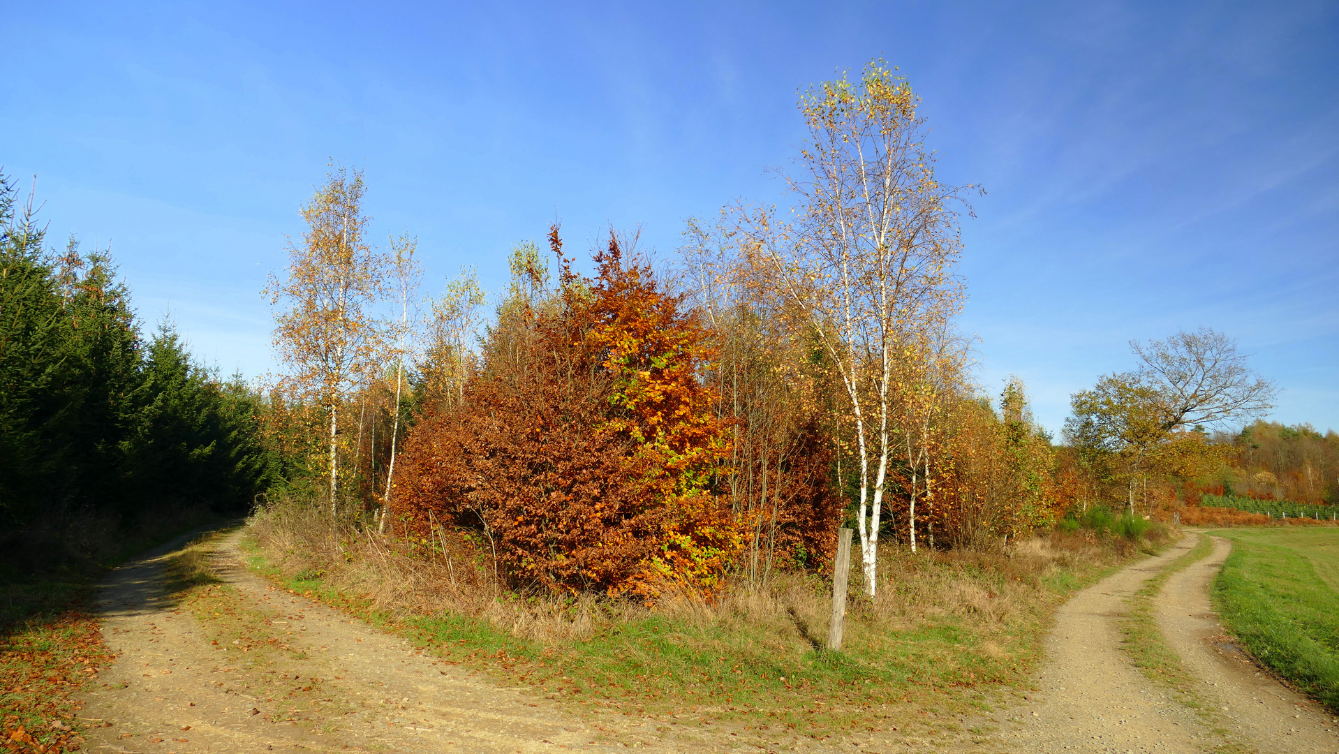 °°°° Die Wegeskreuzung im Herbst °°°°