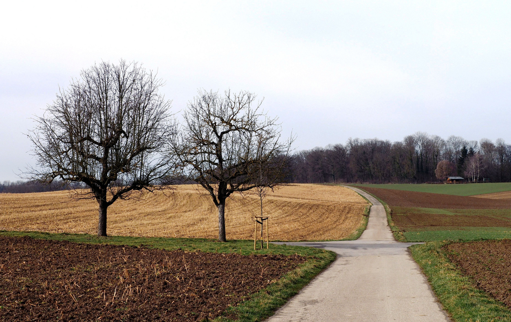 Die Wegkreuzung