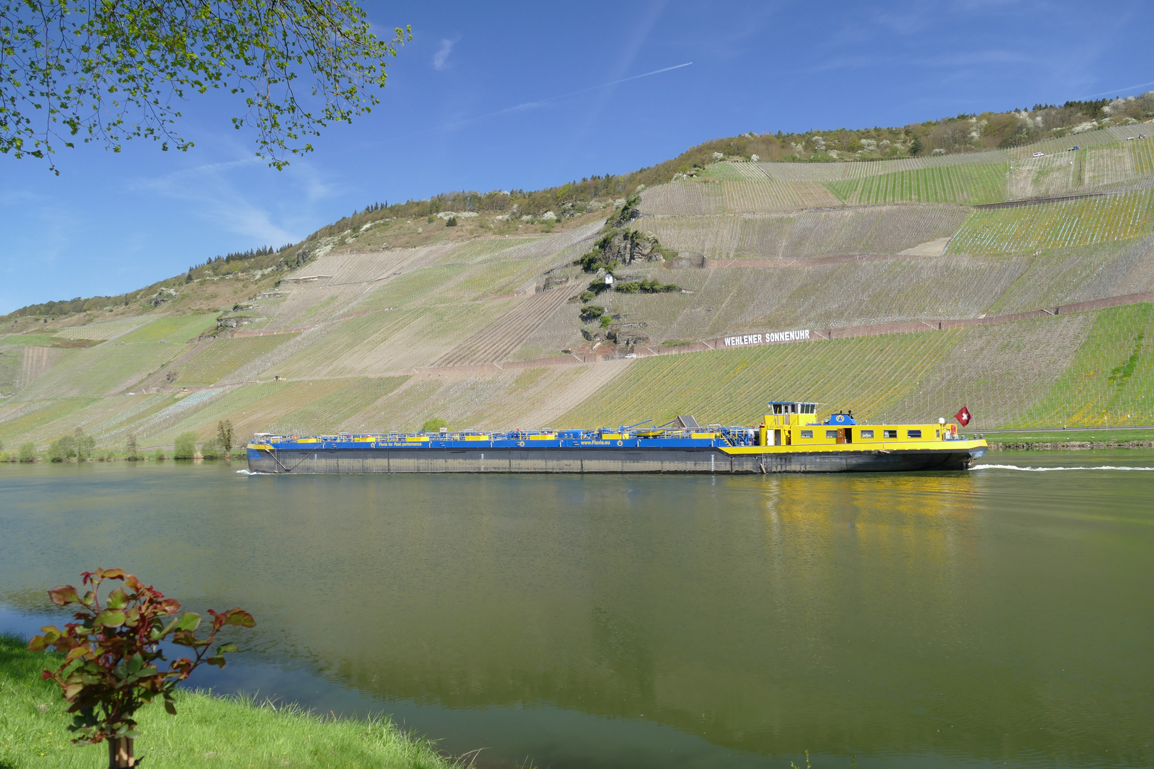 Die "Wehlener Sonnenuhr" 1