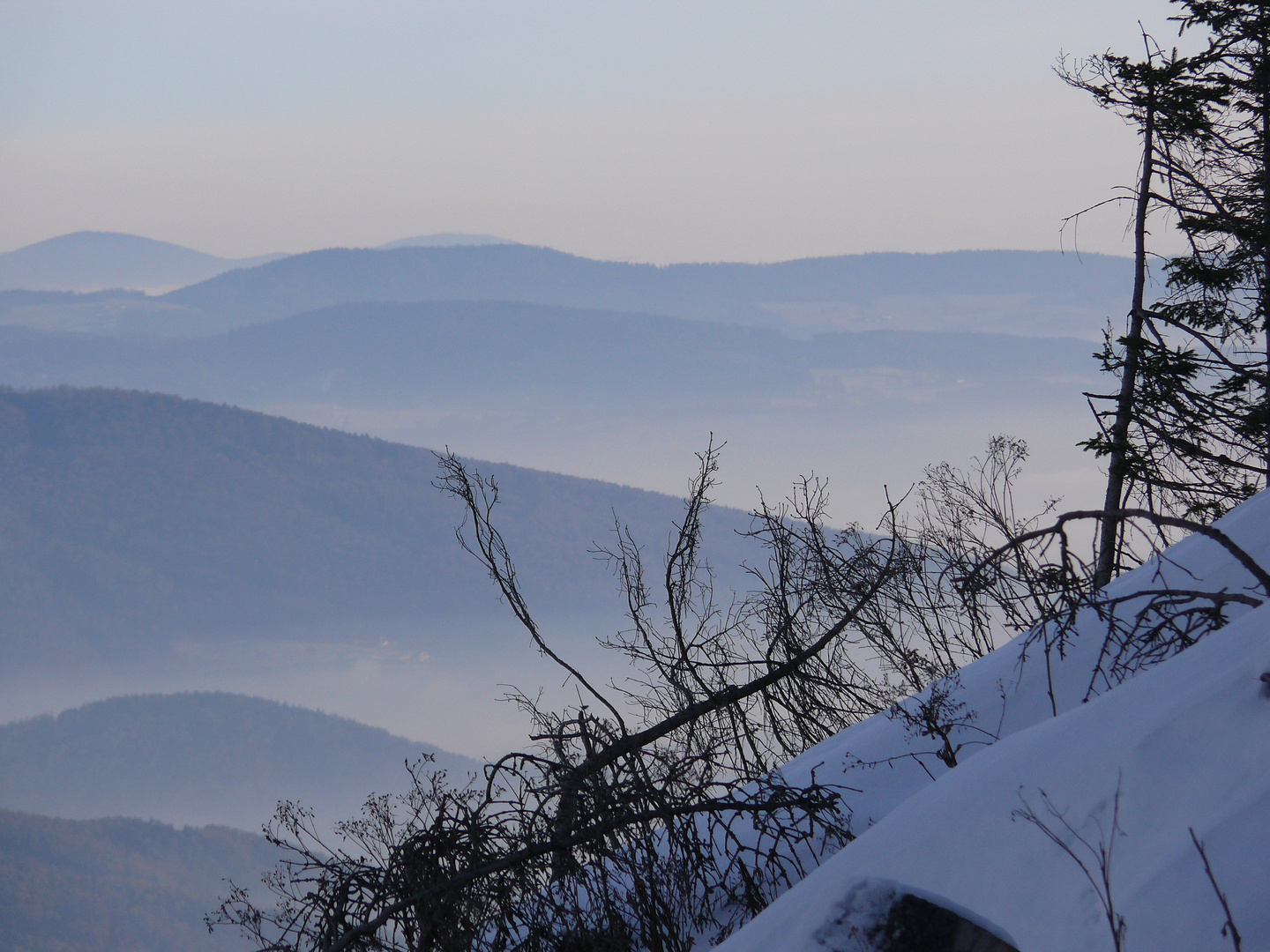 Die weichen Hügeln der Südsteiermark