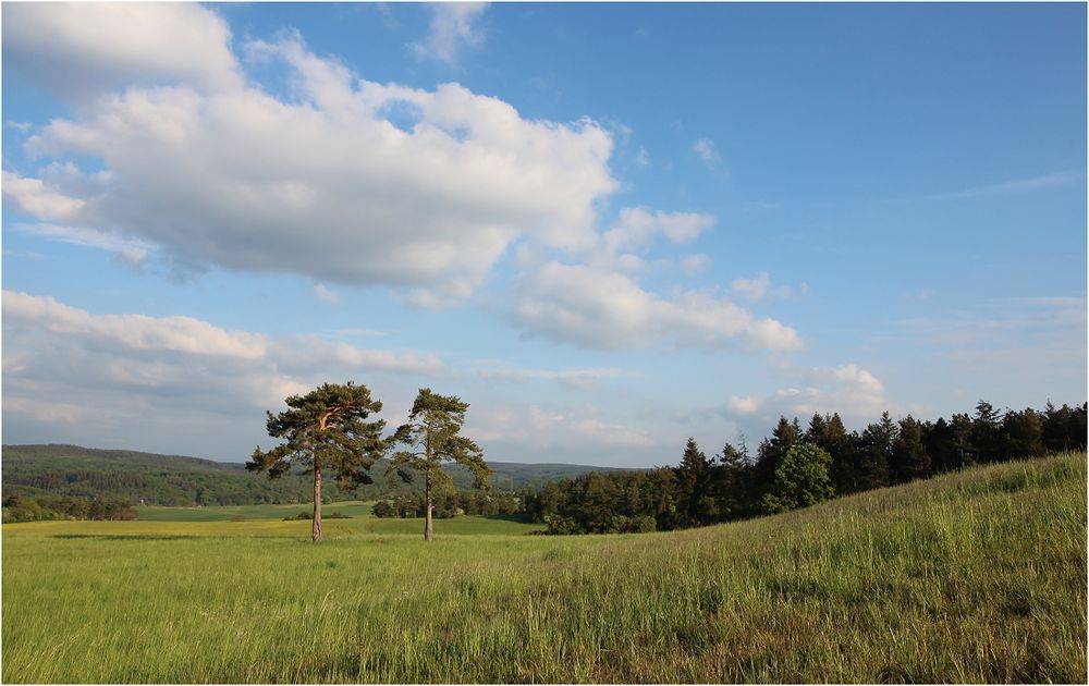 Die weichen Konturen der Eifel