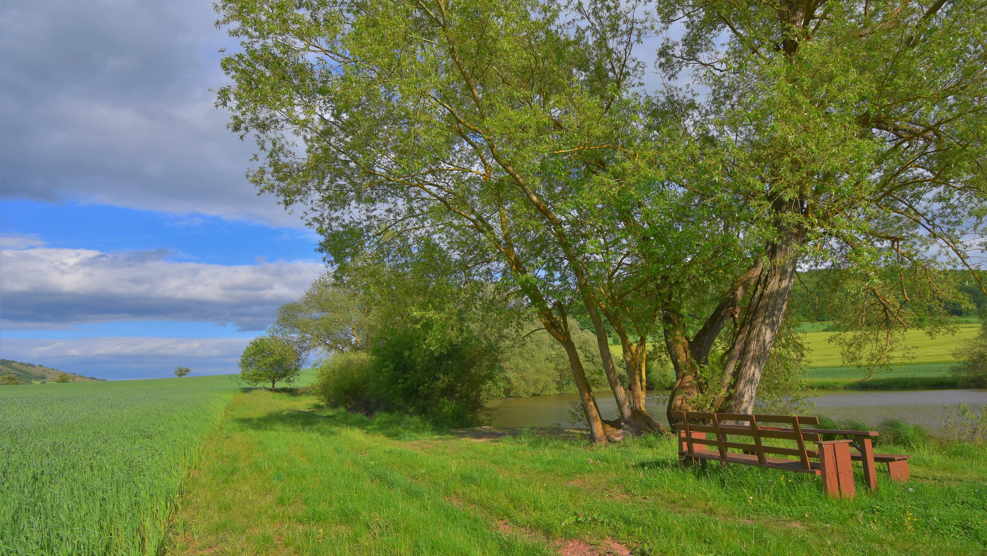 die Weide am See