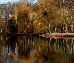 Die Weide am See