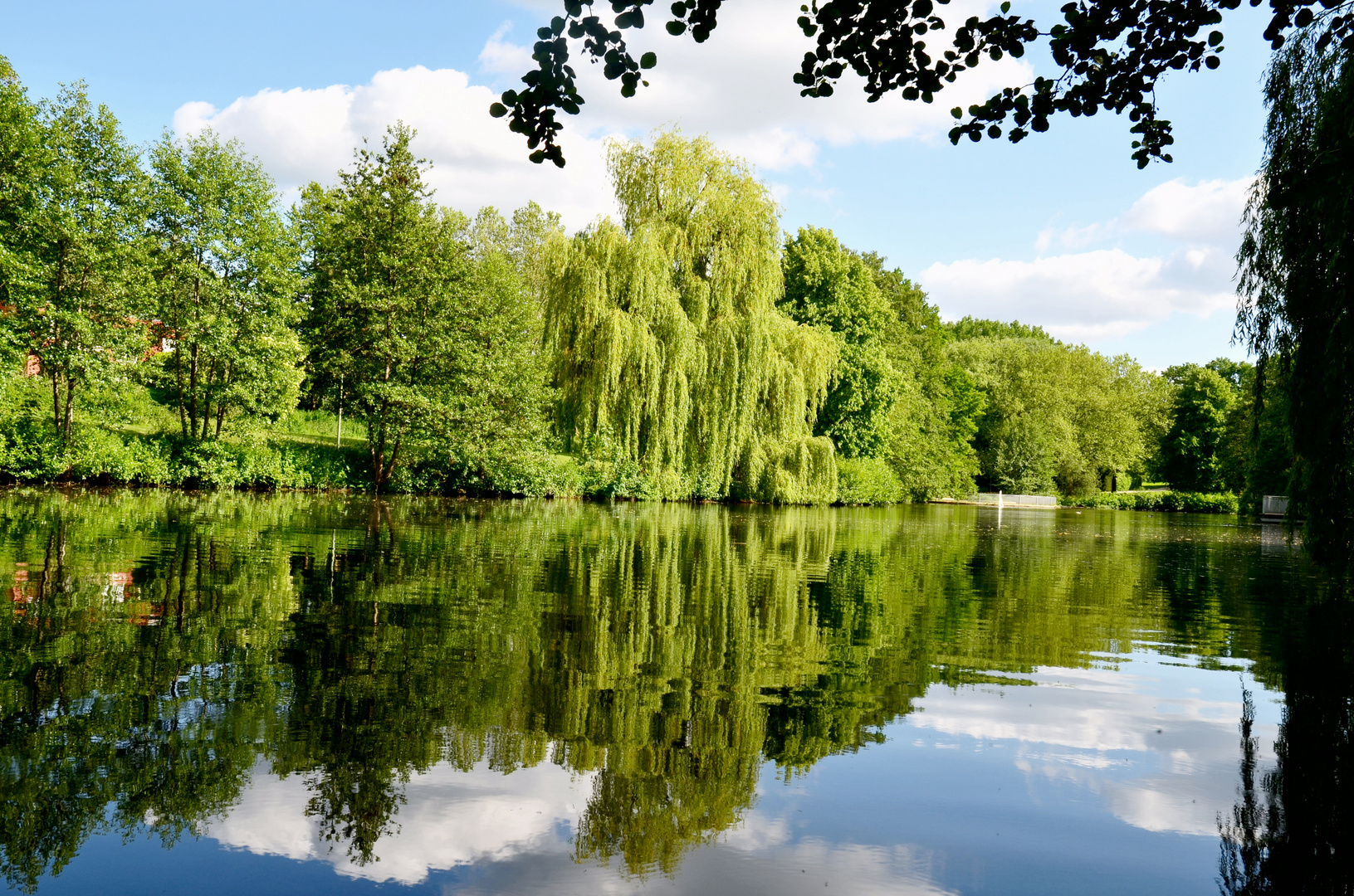 Die Weide am See