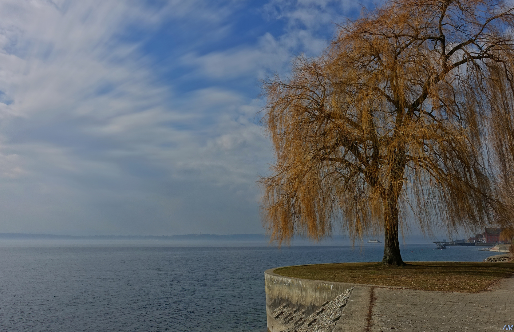 Die Weide am See