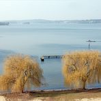 die Weiden am Wannsee