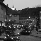 die Weihnachtsbäume sind da, also könnten sie -die Zuständigen- den Schnee jetzt bringen