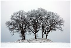 Die Weihnachtsgeschichte ... (3)