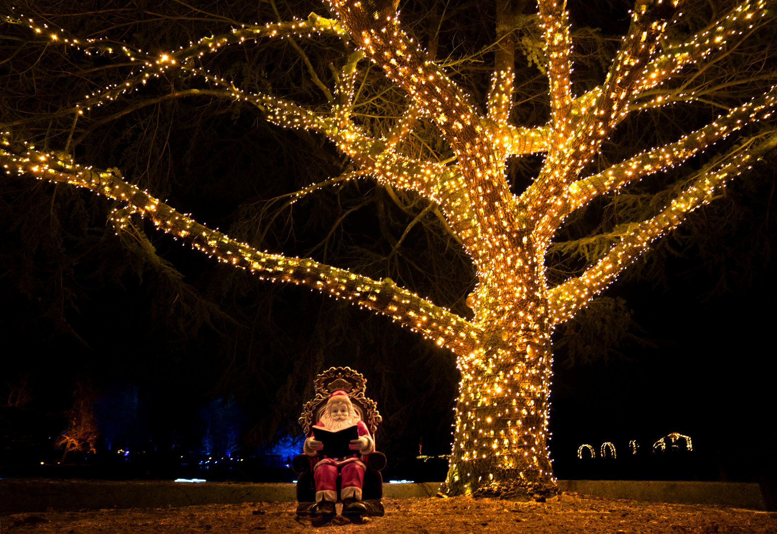 Die Weihnachtsgeschichte im Christmas Garden Hamburg