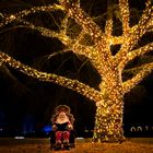 Die Weihnachtsgeschichte im Christmas Garden Hamburg