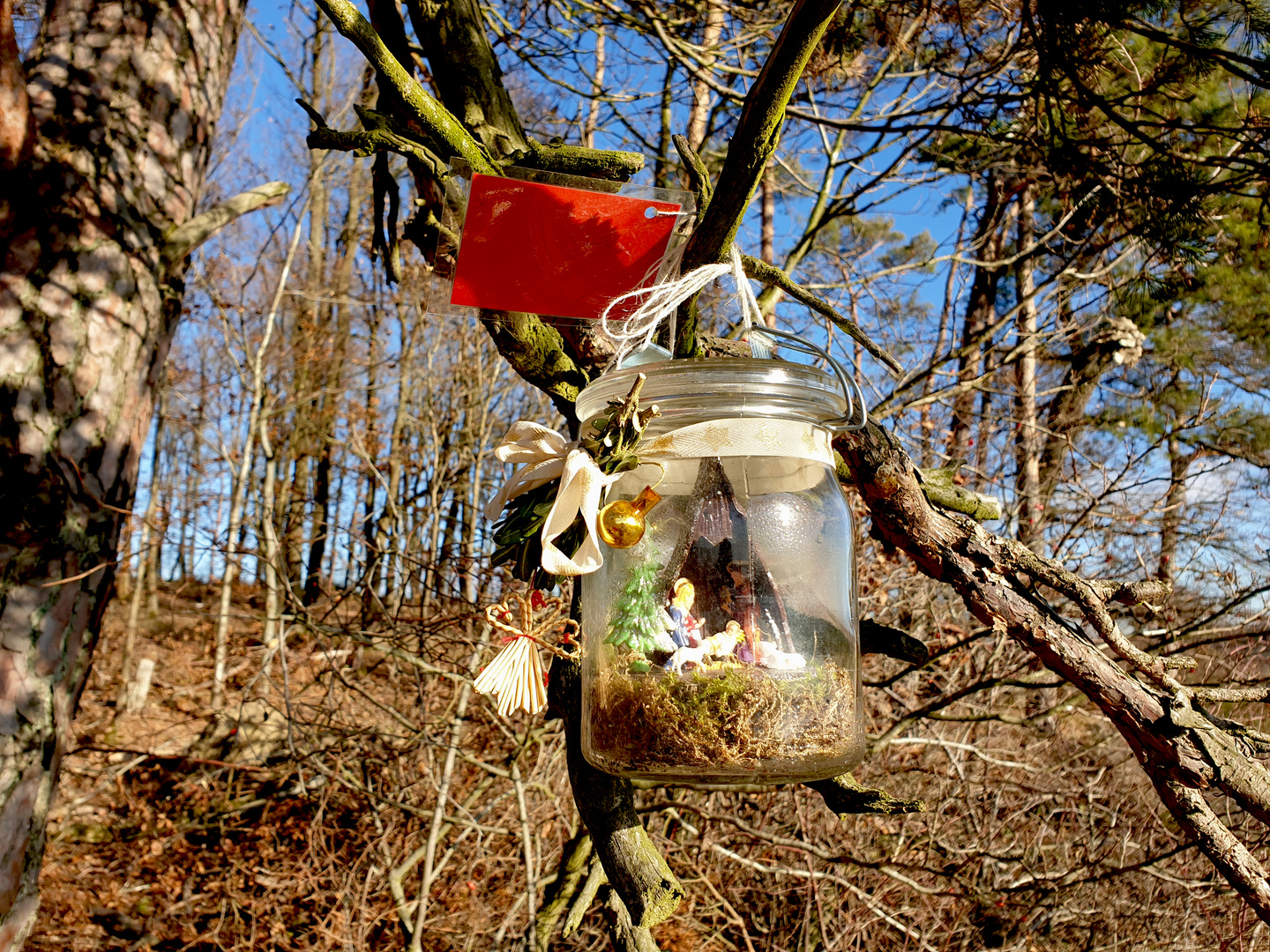 Die Weihnachtskrippe im Einmachglas