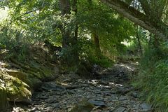 Die Weil im August 2022: Unsere Wasserprobleme sind nicht erledigt 02