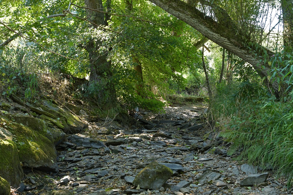 Die Weil im August 2022: Unsere Wasserprobleme sind nicht erledigt 06