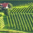 Die Weinbauern sind hier die Landschaftsarchitekten.