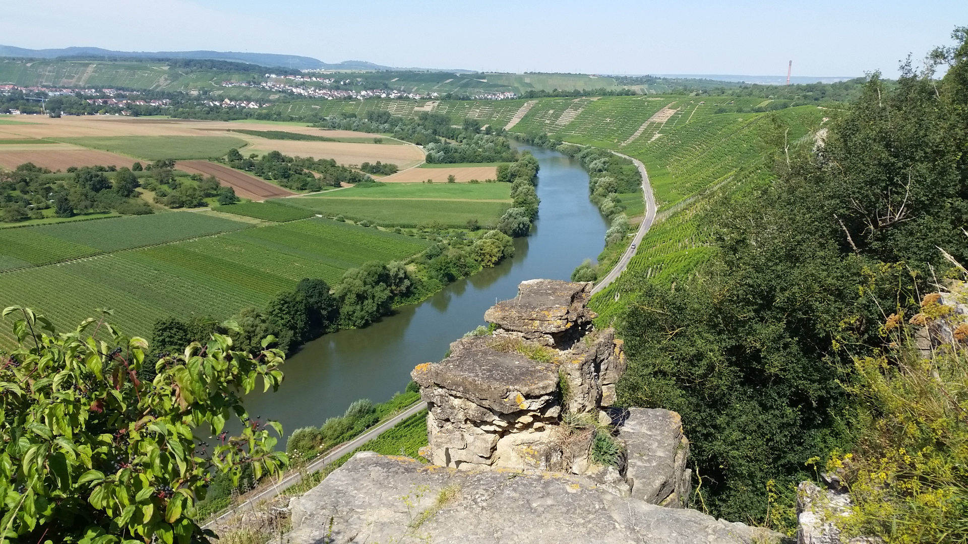 Die Weinberge 