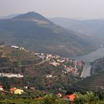 Die Weinberge am Douro