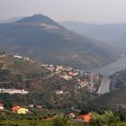 Die Weinberge am Douro