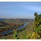 ... die Weinberge an der Saar ...# 002779_1