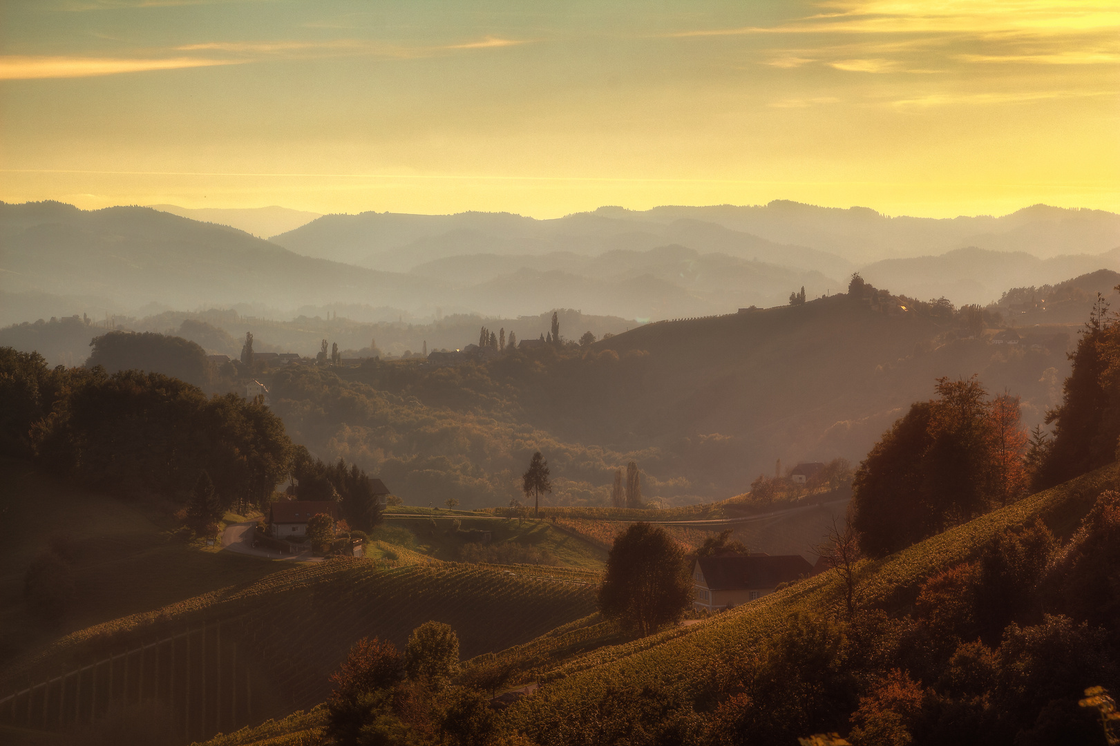 Die Weinberge der Südsteiermark