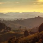 Die Weinberge der Südsteiermark