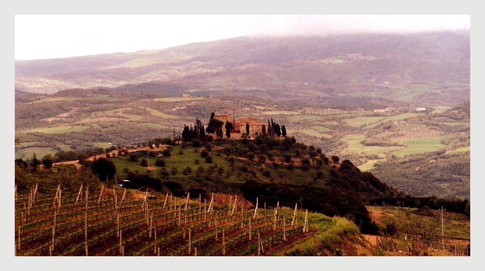 Die Weinberge der Toscana