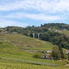 Die Weinberge des Lavaux