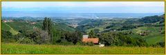 Die Weinberge geben dieser Landschaft den besonderen Reiz.