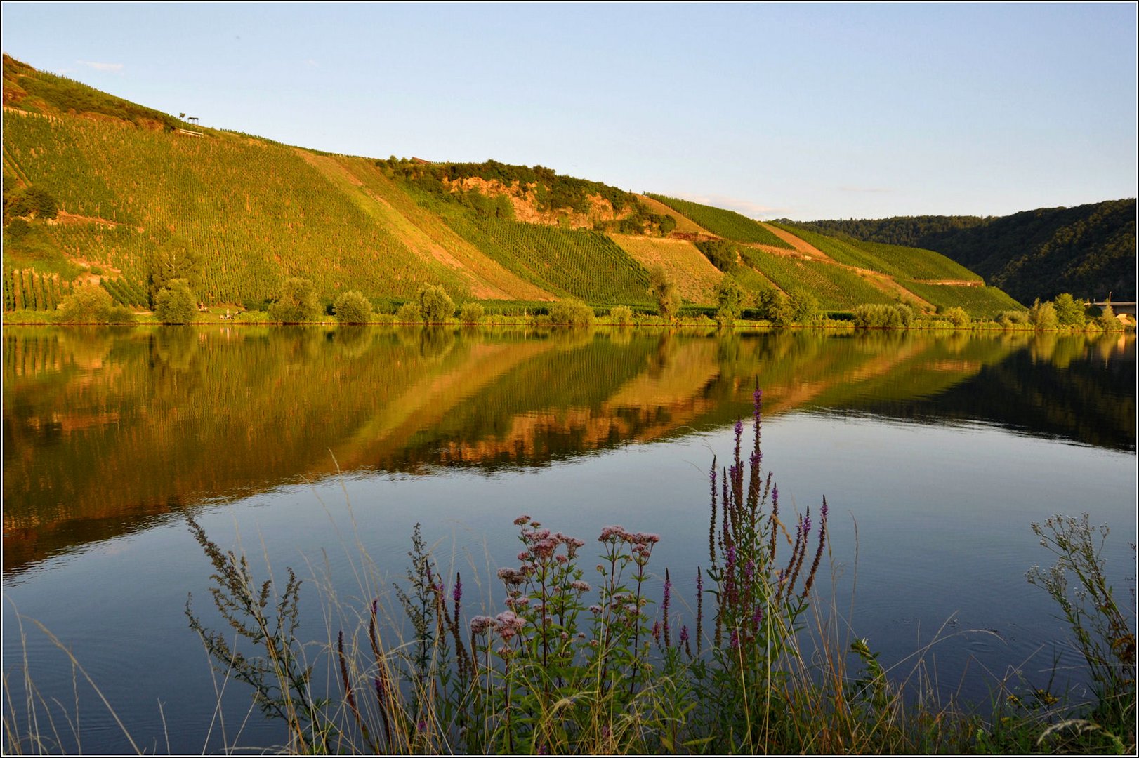 # die Weinberge im Spiegel